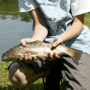 Fly Fishing Fly Fishing