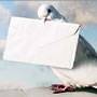 Email Newsletter Email Newsletter